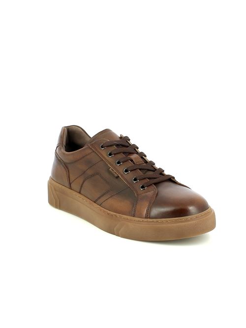 sneakers da uomo in pelle marrone con plantare DryGo estraibile NERO GIARDINI | I400456U412